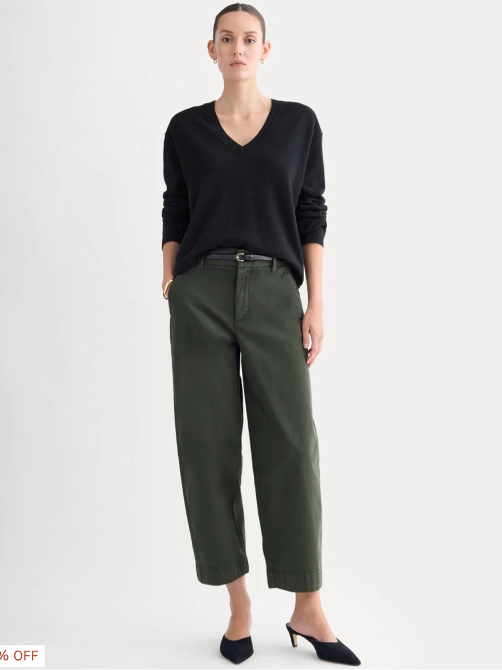 Everlane Cotton Twill Chino in Dark Green
